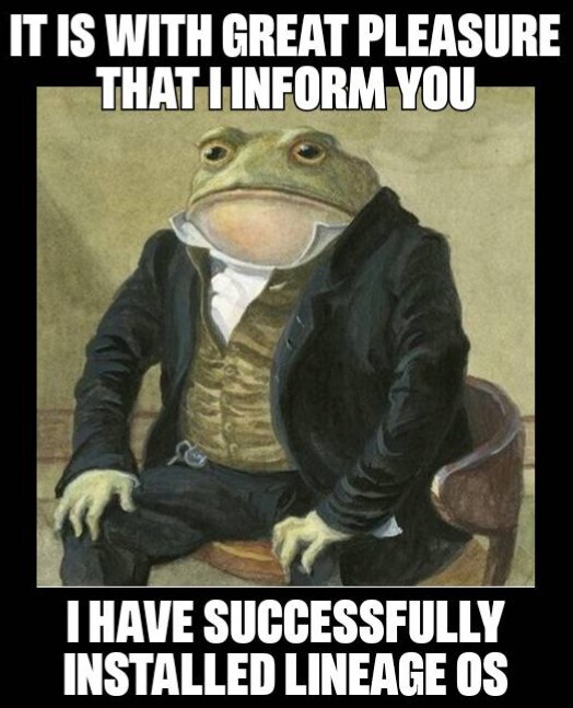 Formal frog meme, captioned "It is with great pleasure that I inform you I have successfully installed LineageOS"